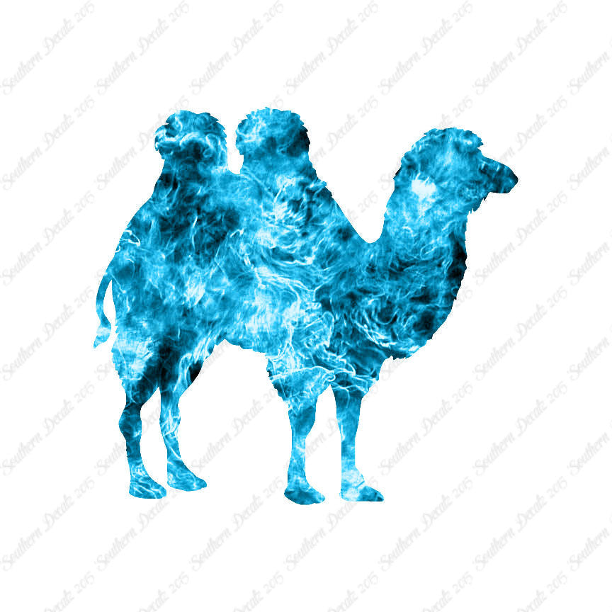 Persian Bactrian Camel
