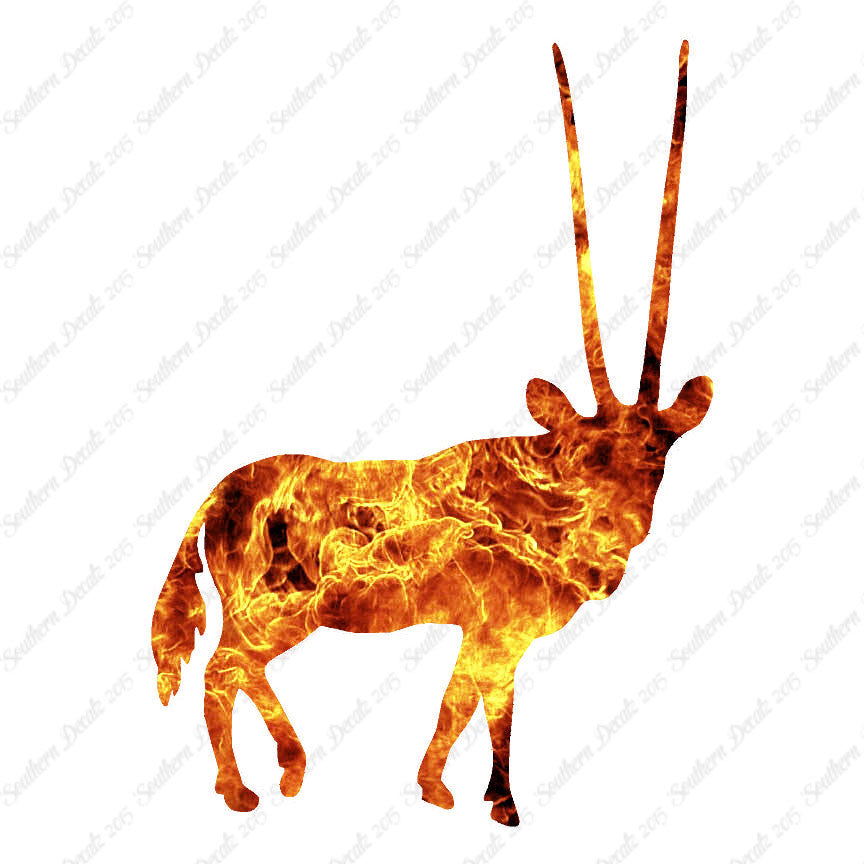 Antelope Gazelle Impala