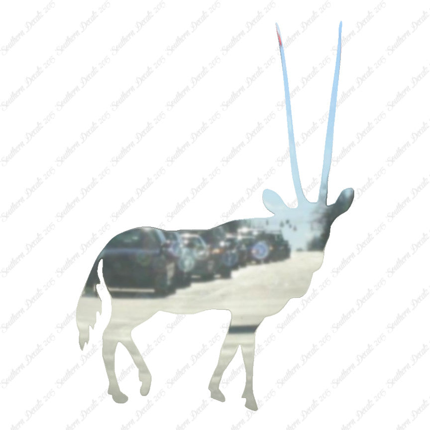 Antelope Gazelle Impala
