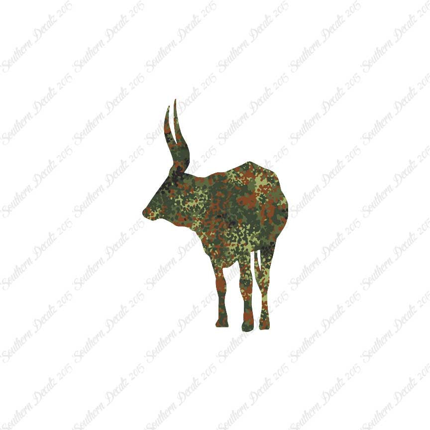 Long Horn Bull Cattle
