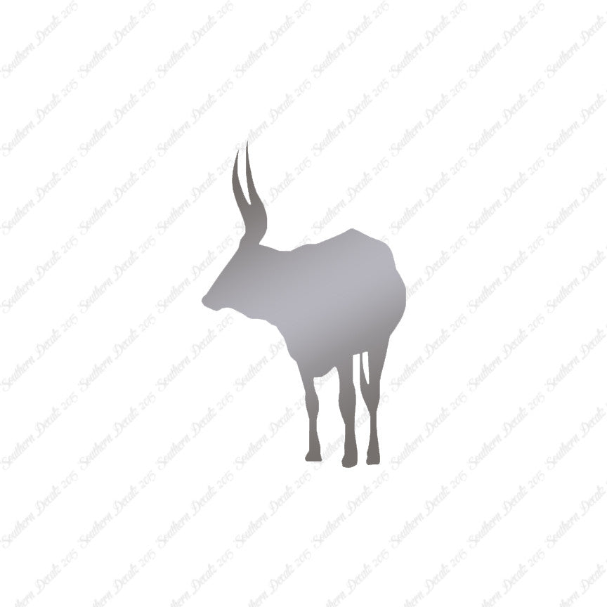 Long Horn Bull Cattle