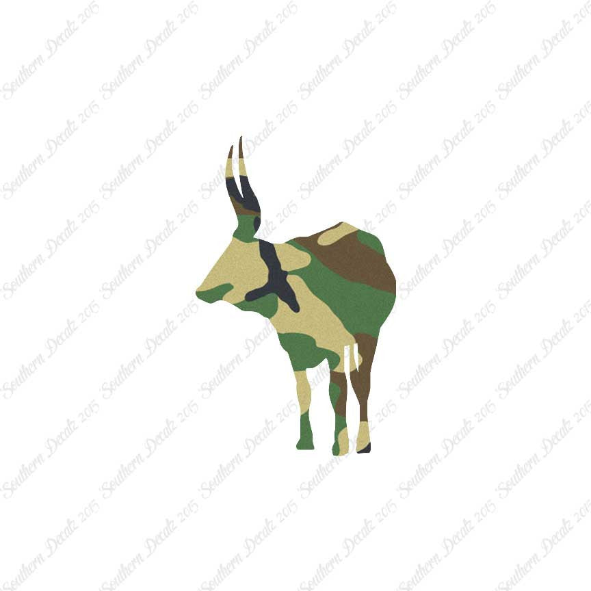 Long Horn Bull Cattle