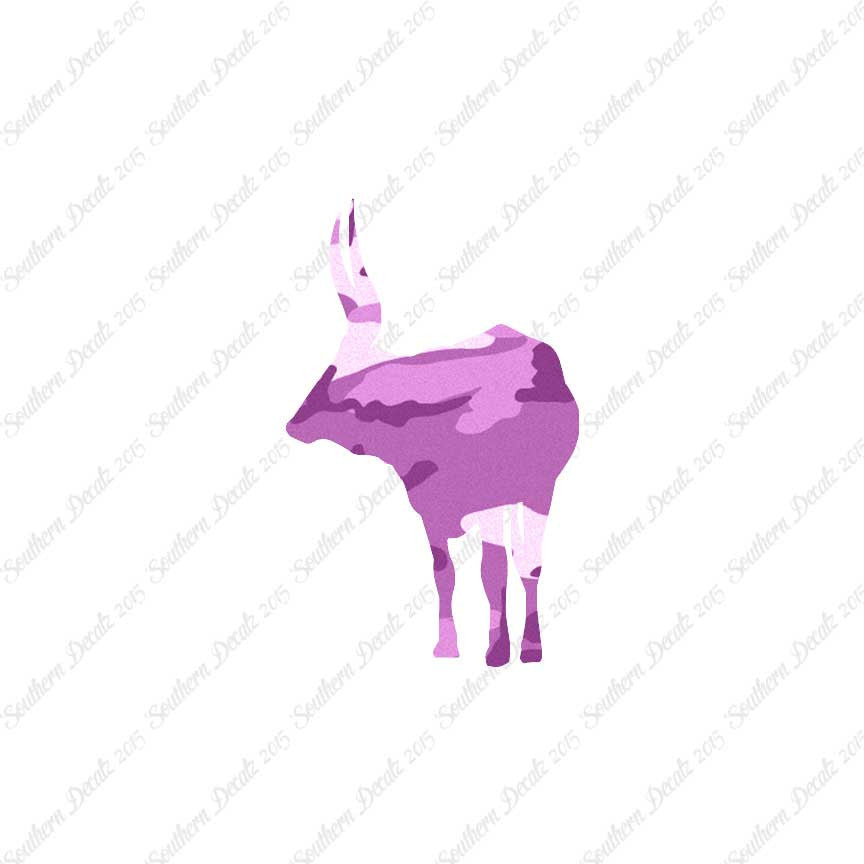 Long Horn Bull Cattle