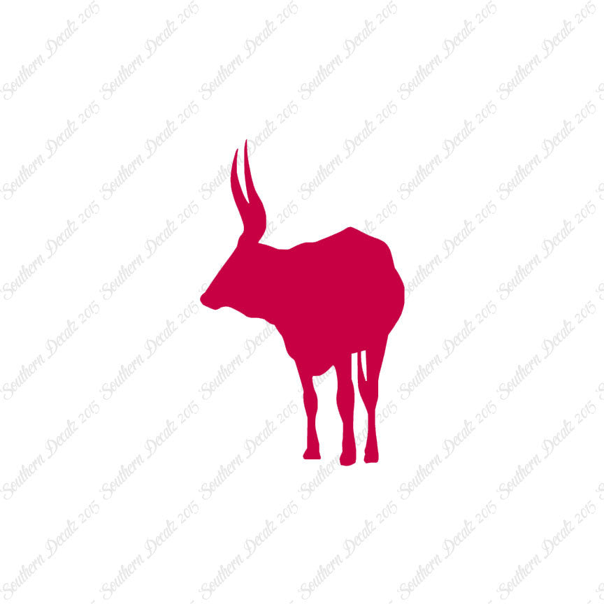 Long Horn Bull Cattle
