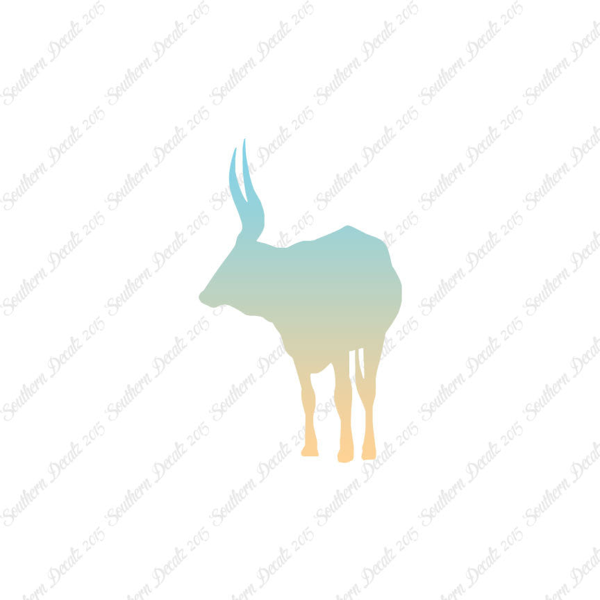 Long Horn Bull Cattle