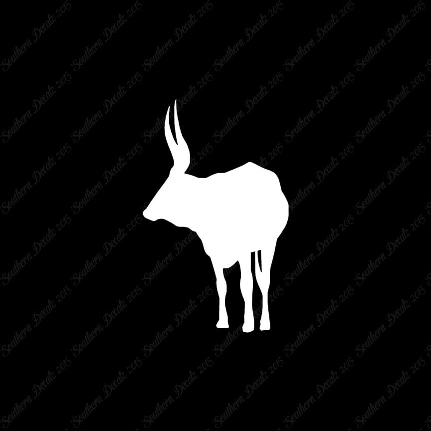 Long Horn Bull Cattle