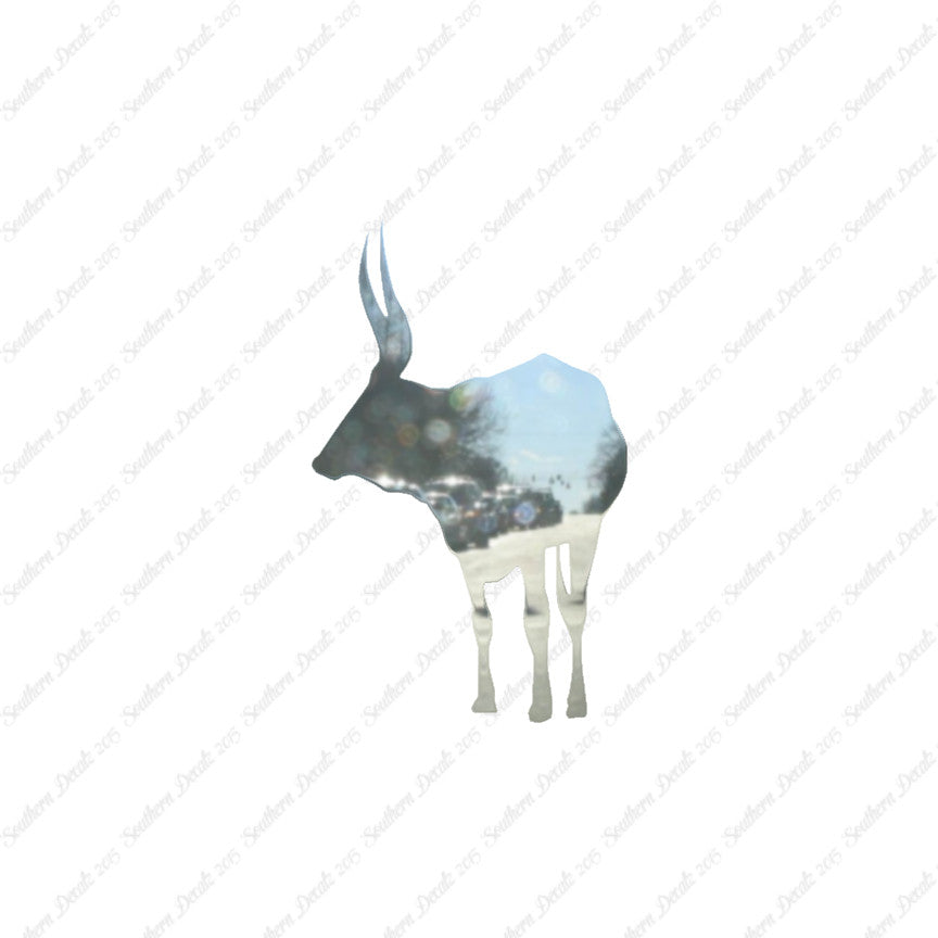 Long Horn Bull Cattle