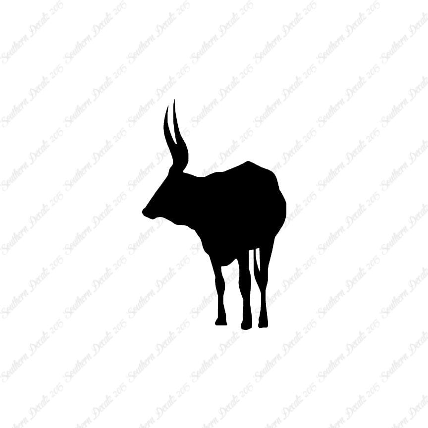 Long Horn Bull Cattle