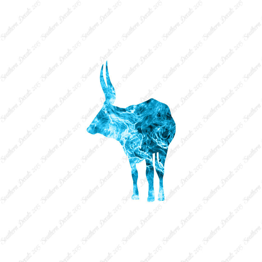 Long Horn Bull Cattle