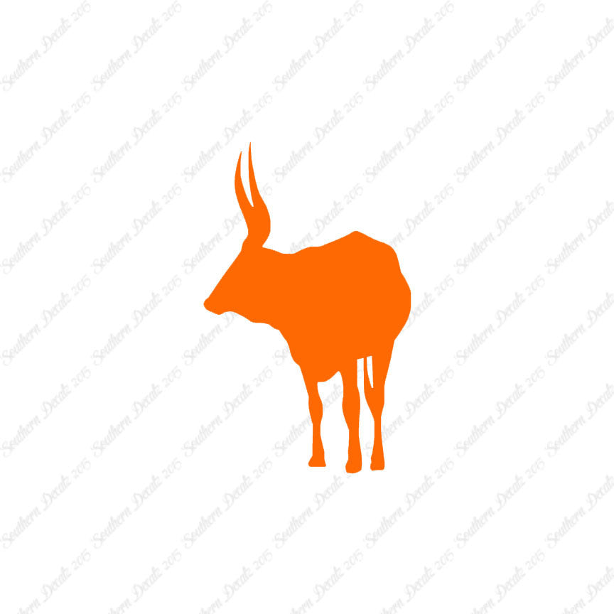 Long Horn Bull Cattle