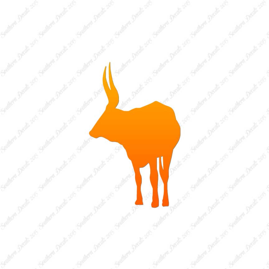 Long Horn Bull Cattle