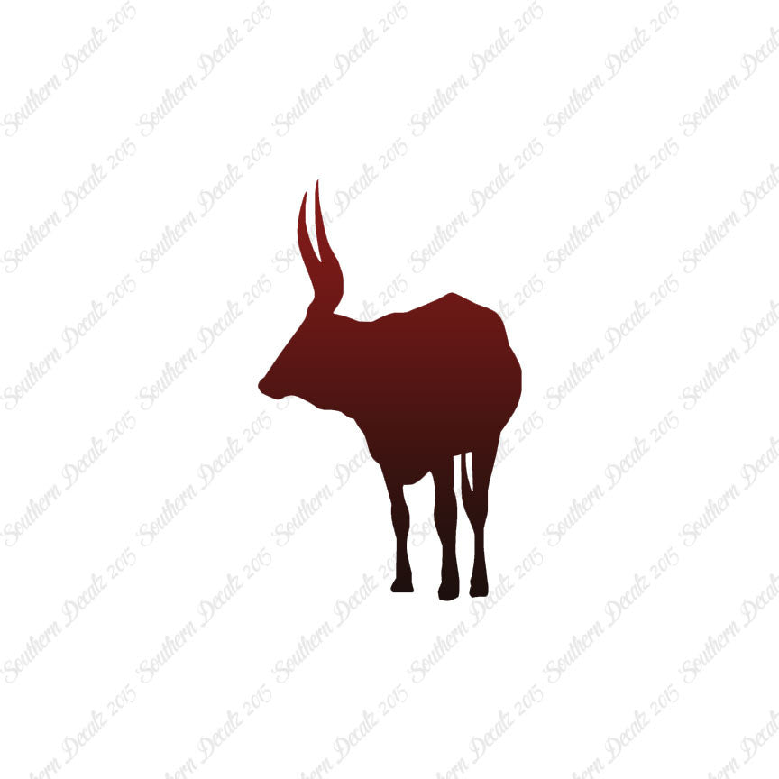 Long Horn Bull Cattle