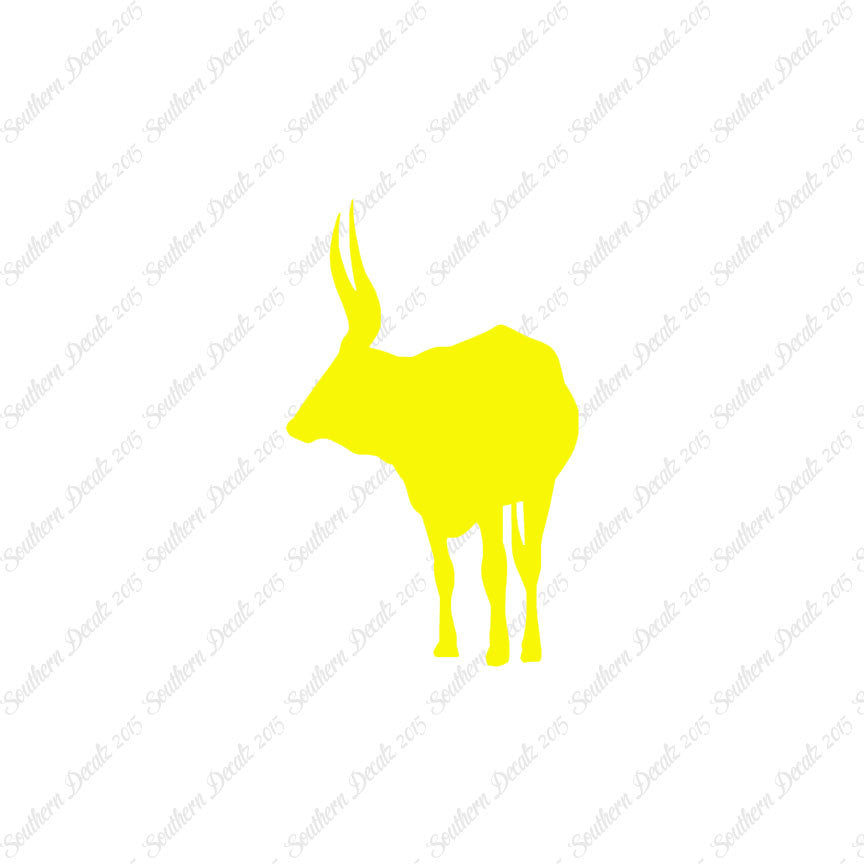 Long Horn Bull Cattle