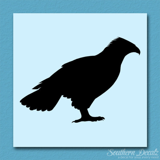 Falcon Hawk