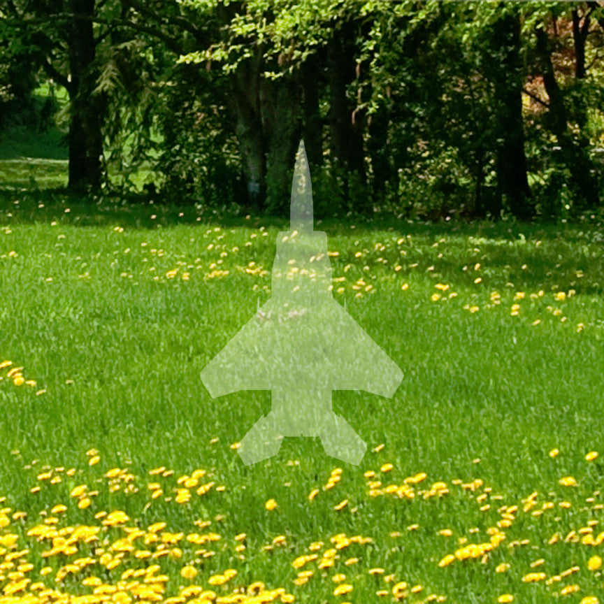 Fighter Jet Military