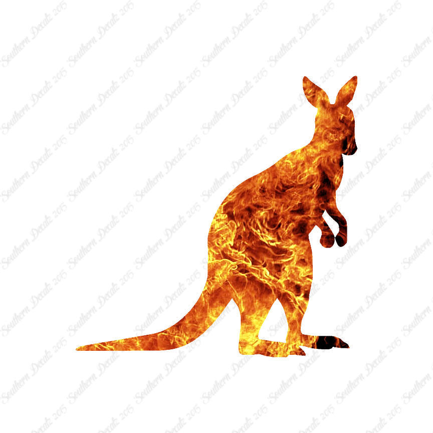 Joey Kangaroo Wallaby