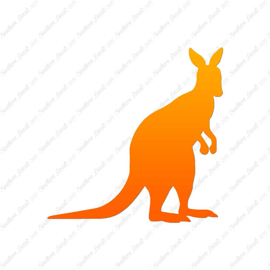 Joey Kangaroo Wallaby