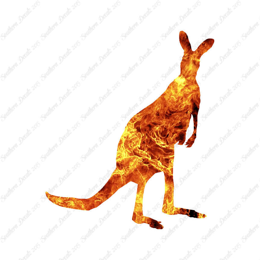 Kangaroo Wallaby