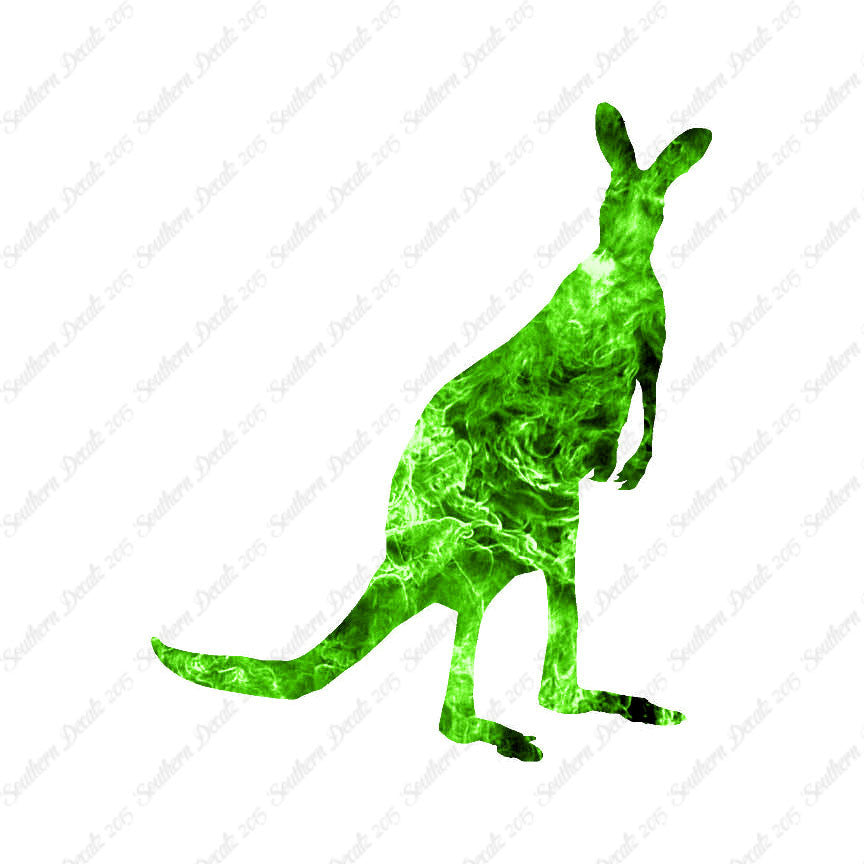 Kangaroo Wallaby