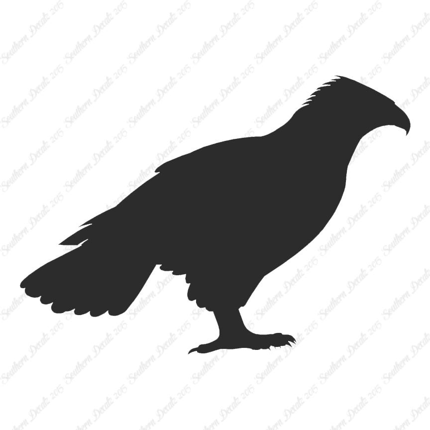 Falcon Hawk