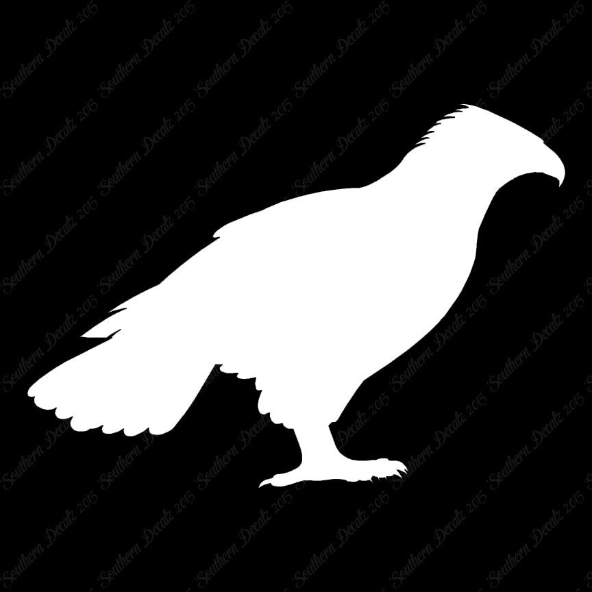 Falcon Hawk