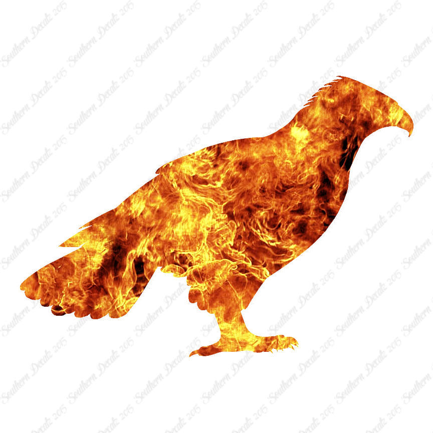 Falcon Hawk