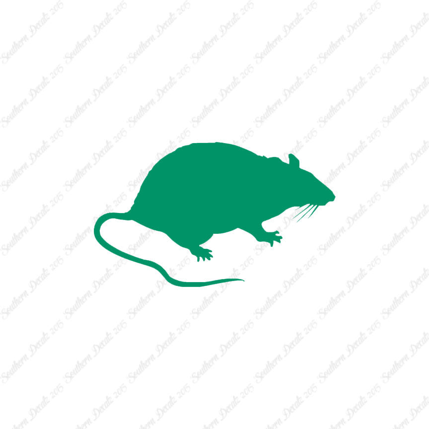 Rat Mouse Vermin