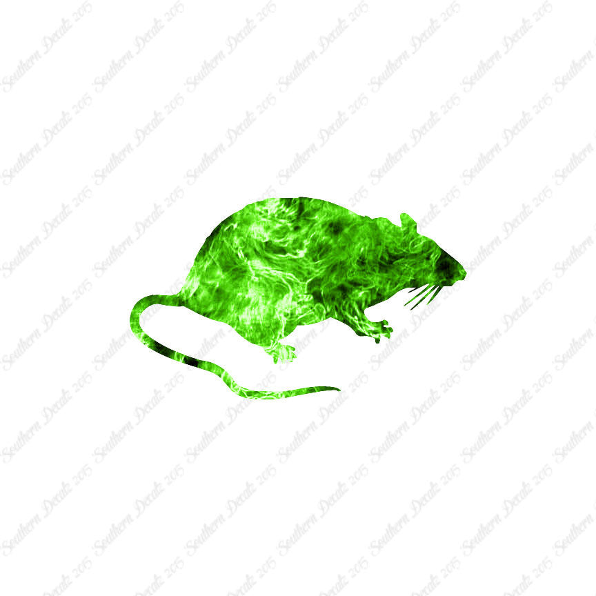 Rat Mouse Vermin