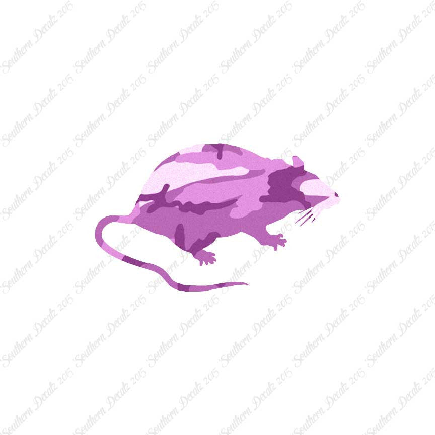 Rat Mouse Vermin