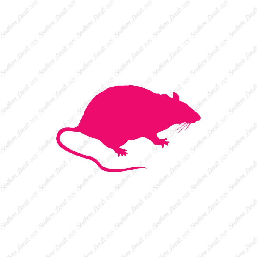 Rat Mouse Vermin