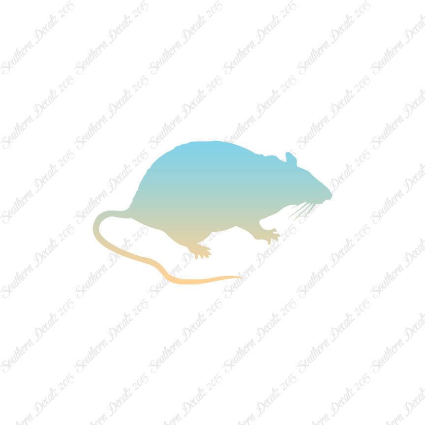 Rat Mouse Vermin