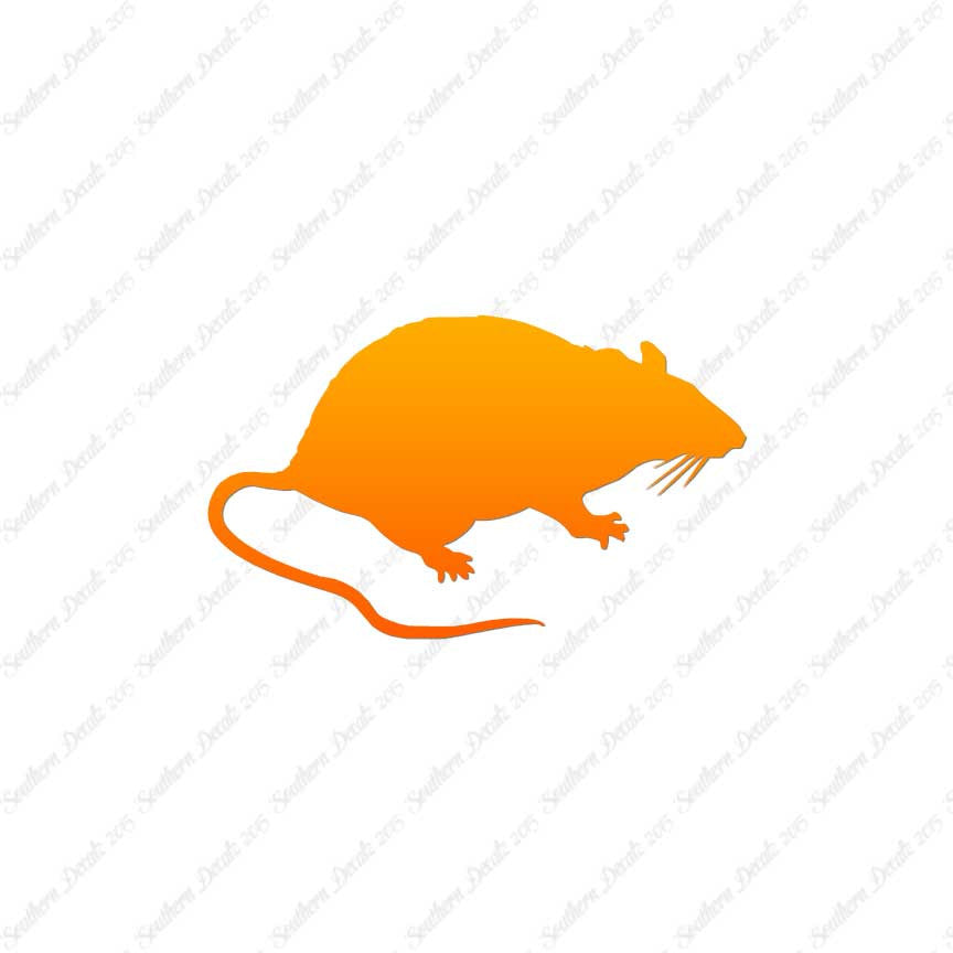 Rat Mouse Vermin