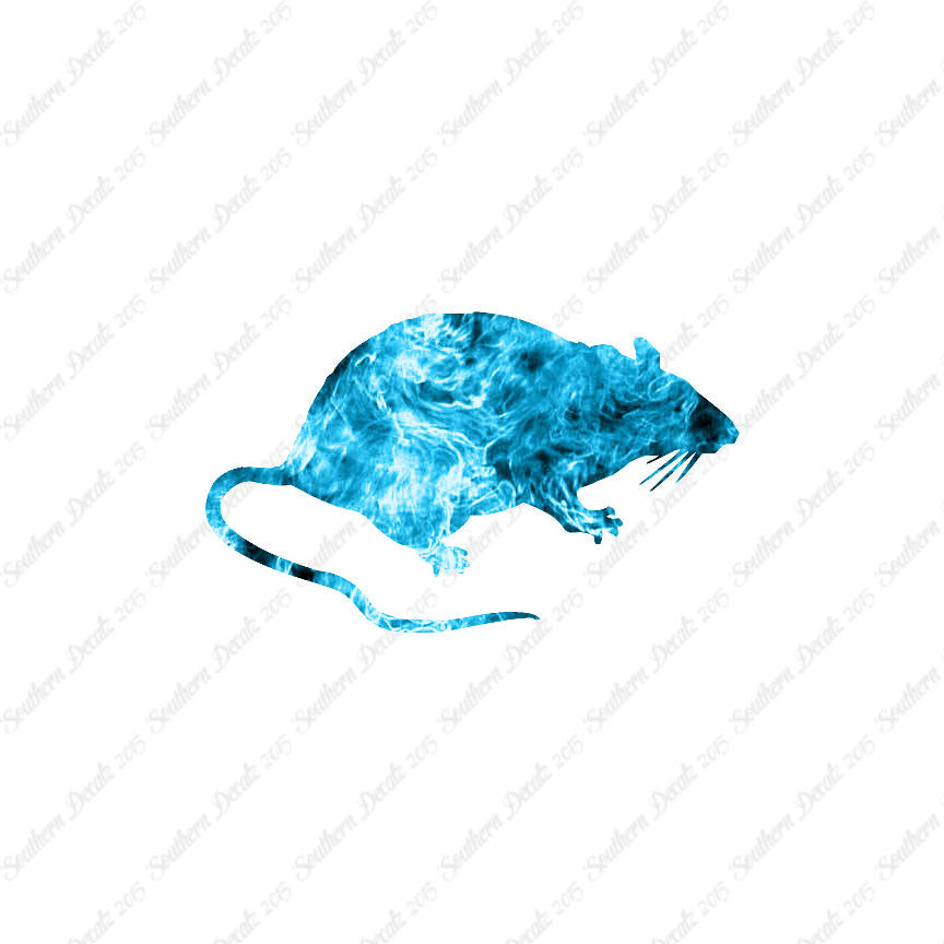 Rat Mouse Vermin