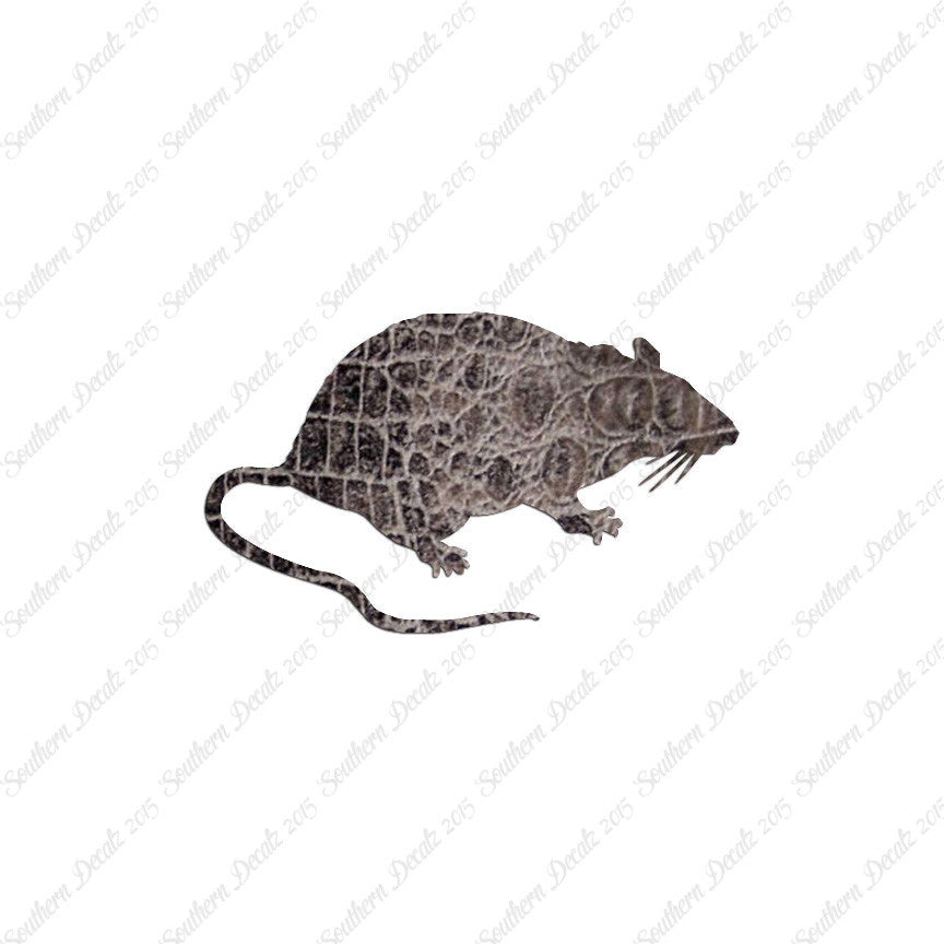 Rat Mouse Vermin