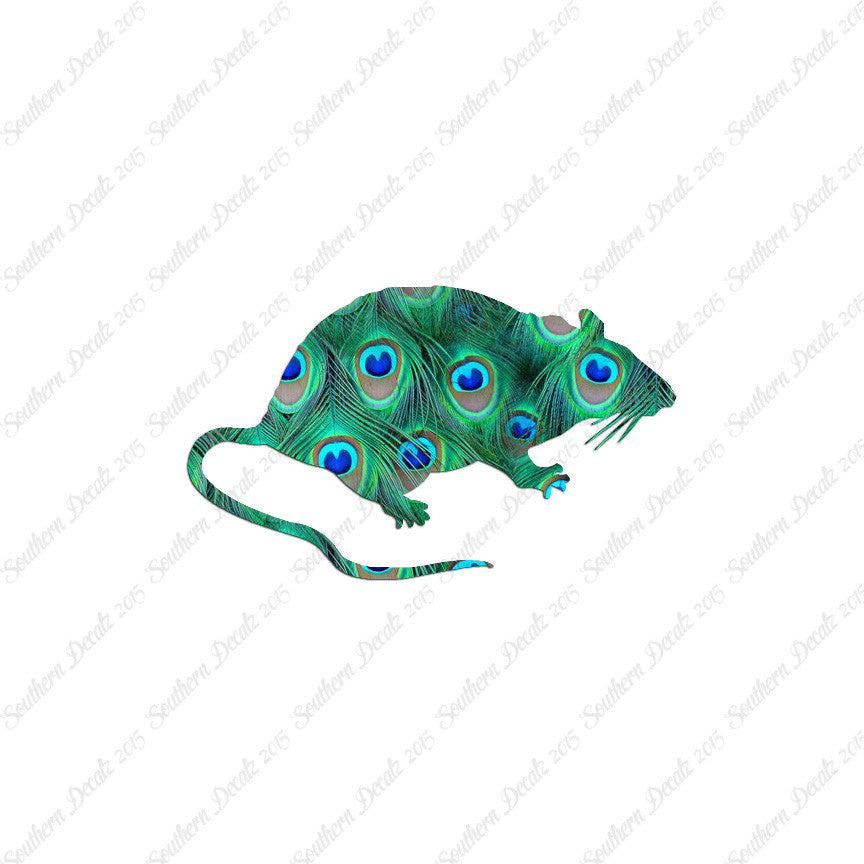 Rat Mouse Vermin