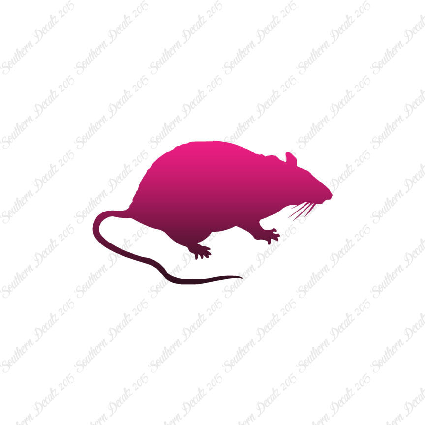 Rat Mouse Vermin