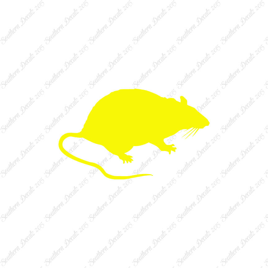 Rat Mouse Vermin