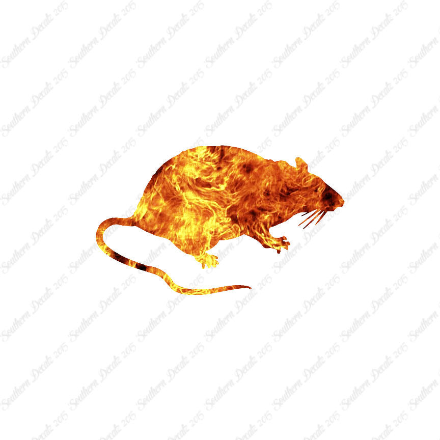 Rat Mouse Vermin