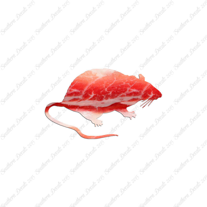 Rat Mouse Vermin