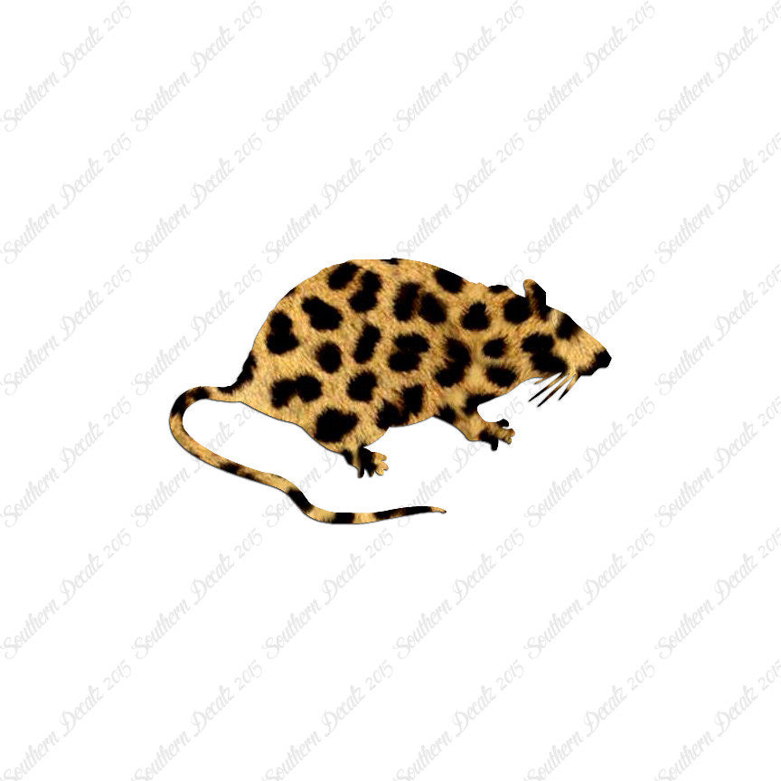 Rat Mouse Vermin