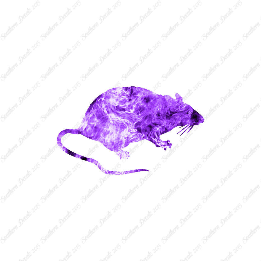 Rat Mouse Vermin
