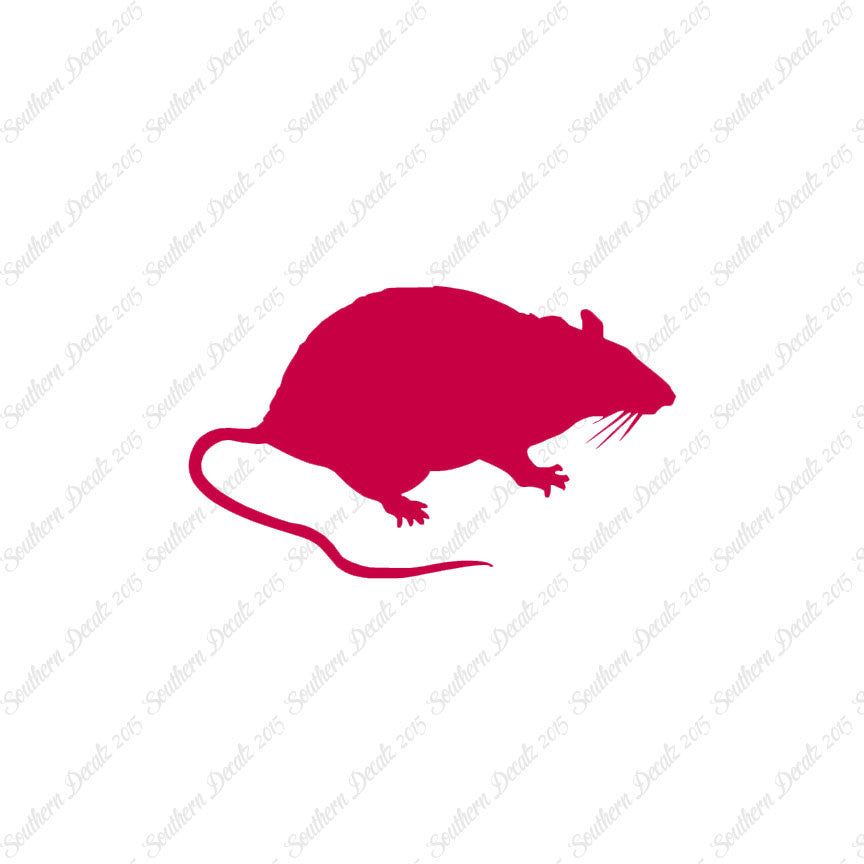 Rat Mouse Vermin