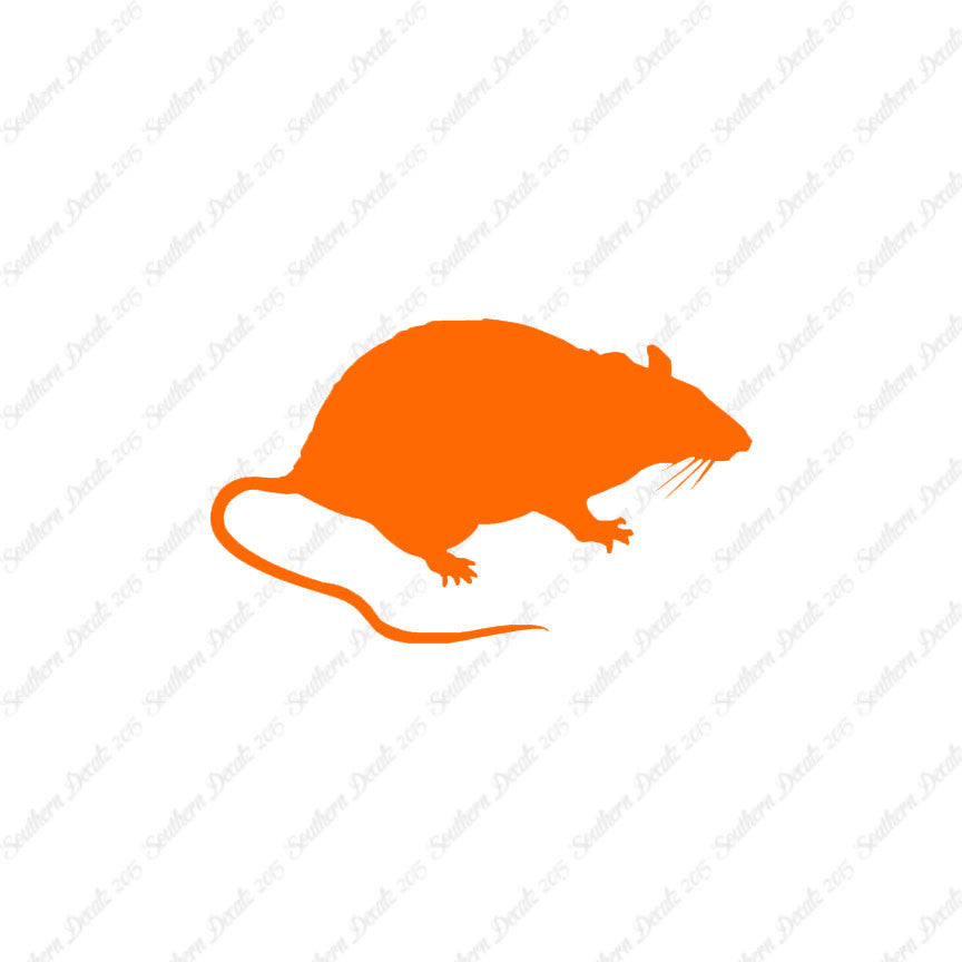 Rat Mouse Vermin