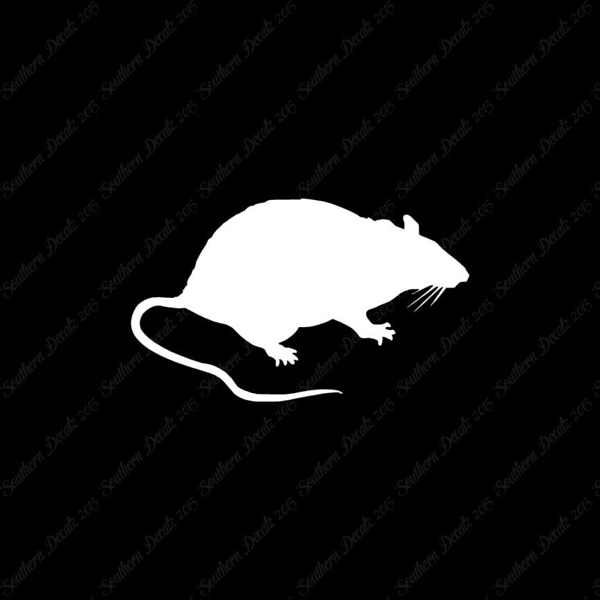 Rat Mouse Vermin