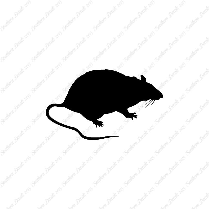 Rat Mouse Vermin