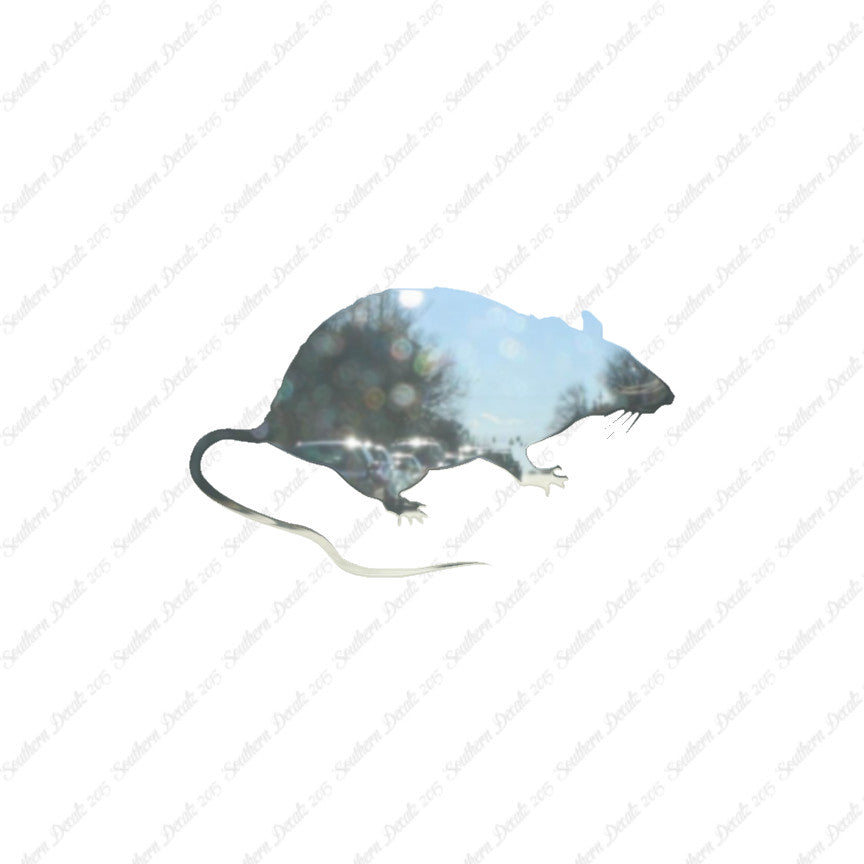 Rat Mouse Vermin