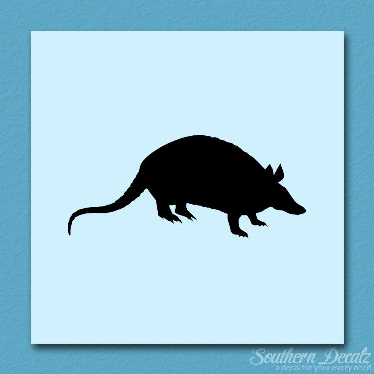 Opossum Armadillo