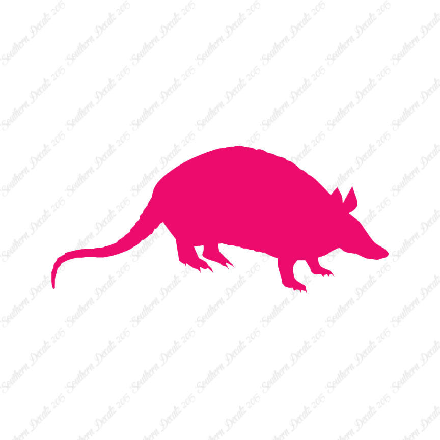 Opossum Armadillo