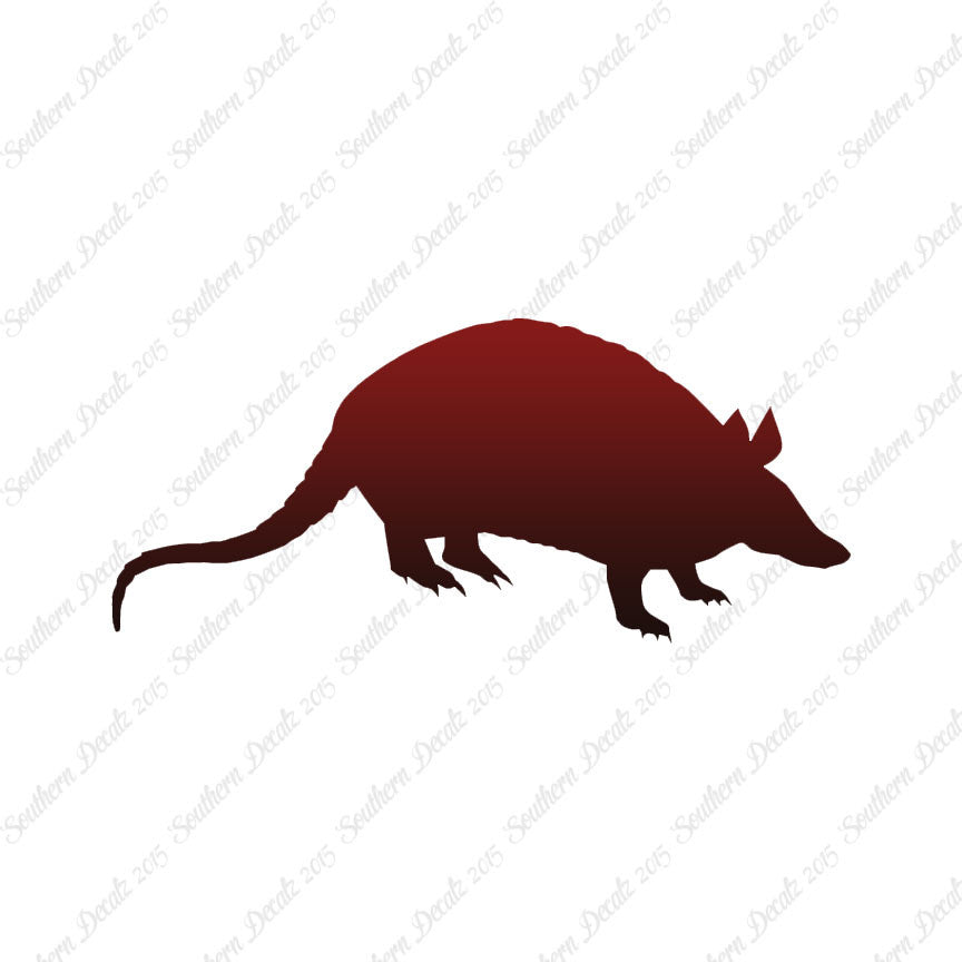 Opossum Armadillo