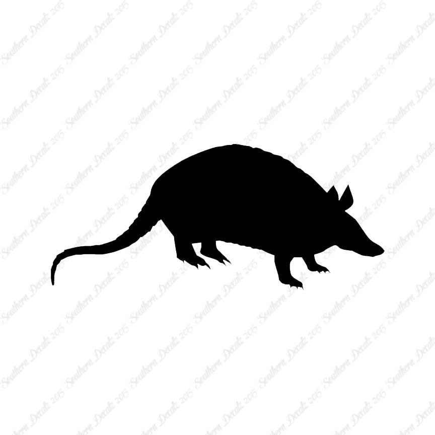 Opossum Armadillo